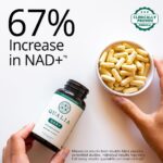 Qualia NAD+ - Suplemento para Aumento de Energia e Envelhecimento Saudável com Nicotinamida Ribosídeo - 4