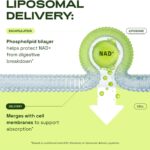Cata-Kor Liposomal NAD com Resveratrol - Suplemento Avançado para Energia Celular e Função Mitocondrial - 4