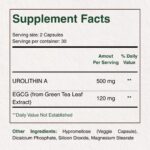 Suplemento Premium de Urolithin A 500mg com EGCG de Chá Verde - Vitalidade e Bem-Estar Diário - 8