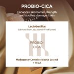 Máscara Facial SKIN1004 Madagascar Centella Probio-Cica - Hidratação Profunda e Suporte à Barreira da Pele - 4