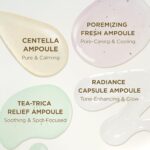 Kit de Ampolas Madagascar Centella SKIN1004 - Cuidado Suavizante para Pele Sensível e Hidratante - 7