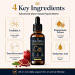 Urolithin A com Extrato de Romã - Suplemento Líquido Antioxidante e Anti-idade - 2