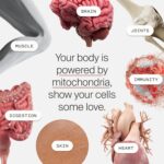 Mitopure Urolithin A em Pó 500mg - Suplemento para Envelhecimento Saudável e Renovação Celular - 7