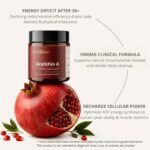 Suplemento Urolithin A 1000mg BioFianne - Suporte Mitochondrial e Vitalidade Diária - 5