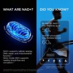 Suplemento de NAD para Homens - Aumento de Energia Celular e Saúde Prostata com Resveratrol e CoQ10 - 4