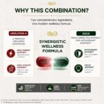 Suplemento Premium de Urolithin A 500mg com EGCG de Chá Verde - Vitalidade e Bem-Estar Diário - 2