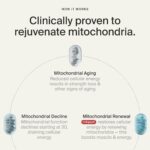 Mitopure Urolithin A Softgels - Suplemento para Saúde Celular e Longevidade - 3
