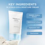CREME HIDRATANTE SKIN1004 Hyalu-Cica - Hidratação Profunda com Ácido Hialurônico e Centella Asiática - 4