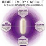 AOR Urolithin A+ com NMN e Resveratrol - Fórmula Avançada para Longevidade e Vitalidade - 3