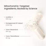 Urolithin A+ NutraChamps - Suplemento Avançado para Vitalidade e Longevidade com Resveratrol e Pomegranate - 3