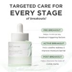 Sérum Facial SKIN1004 com Ácido Azelaico 10% - Hidratação e Controle de Oleosidade para Pele com Marcas - 3