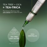 SKIN1004 Tea-Trica Spot Cream - Creme para Tratamento de Manchas com Centella Asiática e Tea Tree - 3