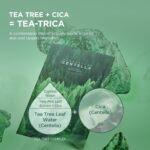 Máscara Relaxante SKIN1004 Madagascar Centella Tea-Trica - Cuidados para Pele Oleosa e Com Acne - 4