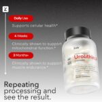 ZAB Urolithin A 700mg - Suplemento para Saúde Muscular e Antienvelhecimento - 3