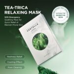 Máscara Relaxante SKIN1004 Madagascar Centella Tea-Trica - Cuidados para Pele Oleosa e Com Acne - 2
