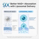 Suplemento de NAD para Homens - Aumento de Energia Celular e Saúde Prostata com Resveratrol e CoQ10 - 5