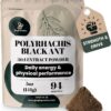 Pó de Extrato de Formiga Preta Jungle Powders 30:1 - Suporte Natural à Saúde Masculina e Performance
