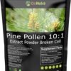Pó de Pólen de Pinheiro - Extrato 10:1, 6 Onças - Vegan e Natural para Vitalidade e Bem-Estar
