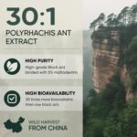 Pó de Extrato de Formiga Preta Jungle Powders 30:1 - Suporte Natural à Saúde Masculina e Performance - 4