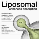 Suplemento Toniiq Liposomal NAD+ e Resveratrol 1500mg - Aumente sua Energia e Vitalidade - 2