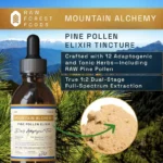 Tintura de Pólen de Pinheiro Mountain Alchemy – Raw Forest Foods