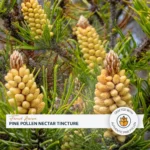 Extrato de Pólen de Pinho Forest Aurum – 60ml e 120ml - Tônico Natural para Energia e Vitalidade - 9