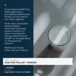 Pó de Pinho Cru Forest Manna 100g - Alimento Funcional para Vitalidade e Nutrição Adaptogênica - 4