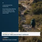 Cápsulas de Extrato de Cistanche Tubulosa Lost Desert Oasis - Vitalidade e Suporte Adaptogênico - 4