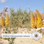 Cápsulas de Extrato de Cistanche Tubulosa Lost Desert Oasis - Vitalidade e Suporte Adaptogênico - 8