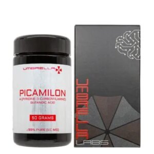 Pó de Picamilon 50g - Pesquisa Laboratorial e Propriedades Neurofarmacológicas
